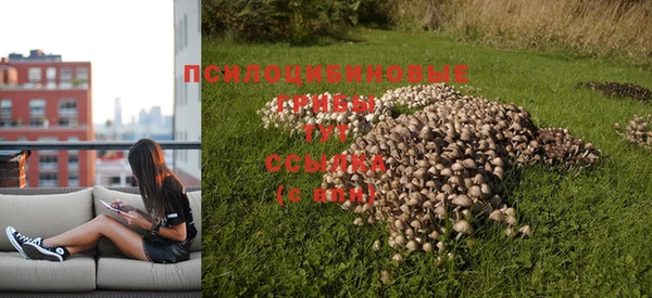 таблы Магас