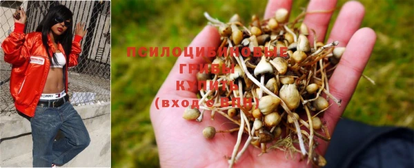 таблы Магас