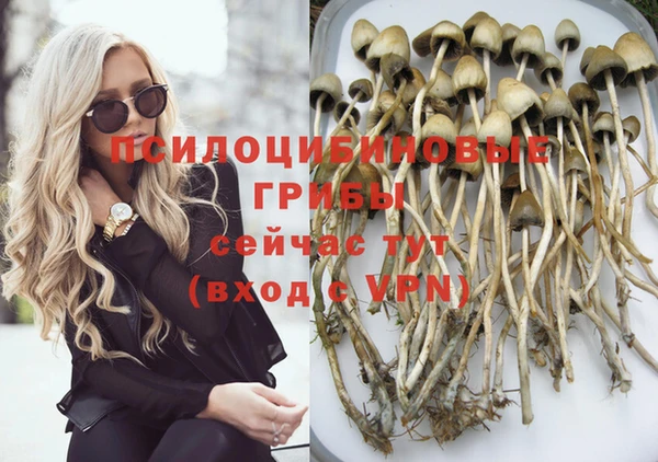 трава Магадан